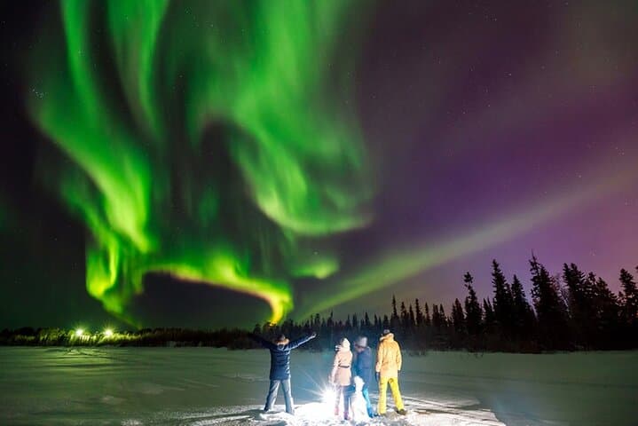 Northern Lights Sledge Ride in Levi