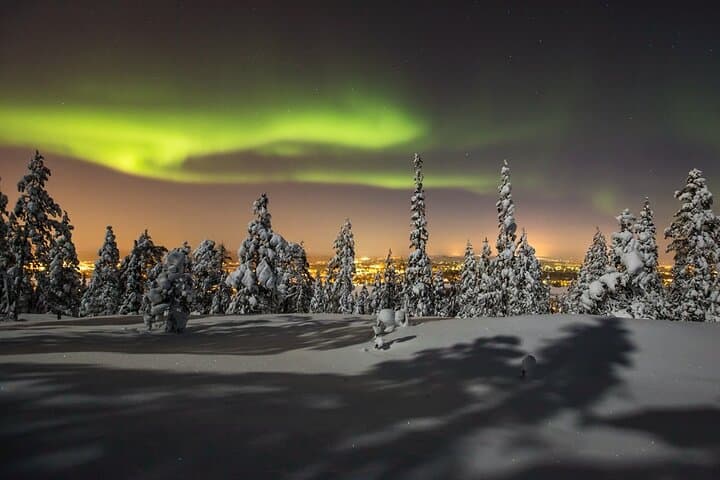 Northern Lights Sledge Ride in Levi