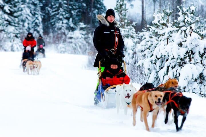 New Year Holiday in Finland for 8 Days and 7 Nights
