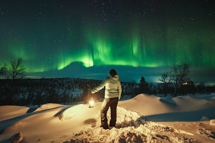 Rovaniemi: Small group northern lights hunt-money back guarantee