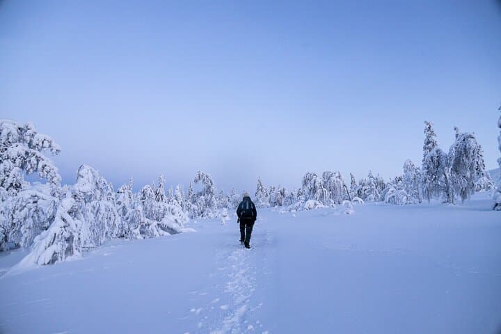 Lapland Wilderness Adventure – Explore Wild Arctic Trails