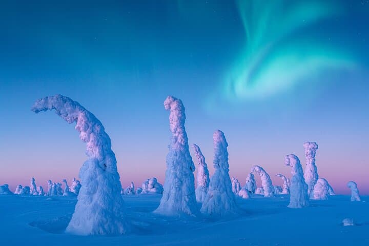 Lapland Wilderness Adventure – Explore Wild Arctic Trails