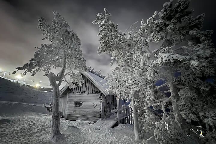 Santa's cabin hidden among snowy trees