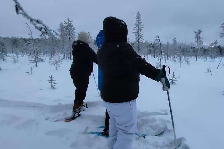 Sliding ski tours are suitable for any ages.
