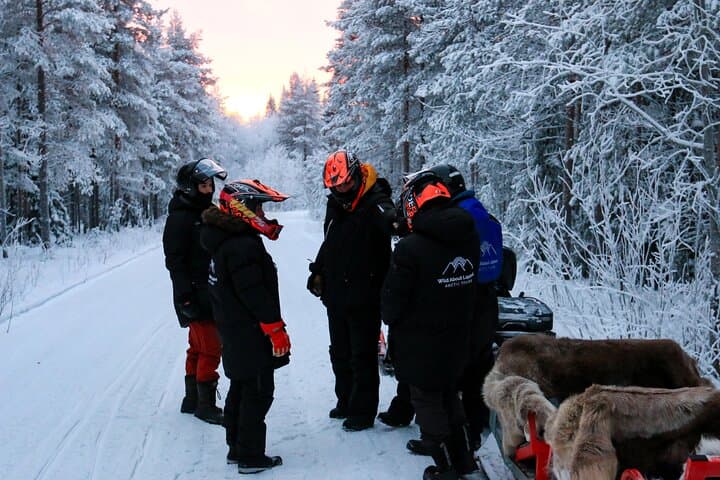 Snowmobile Sledge Ride
