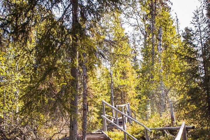 Auttiköngäs Waterfalls & Nature Trail