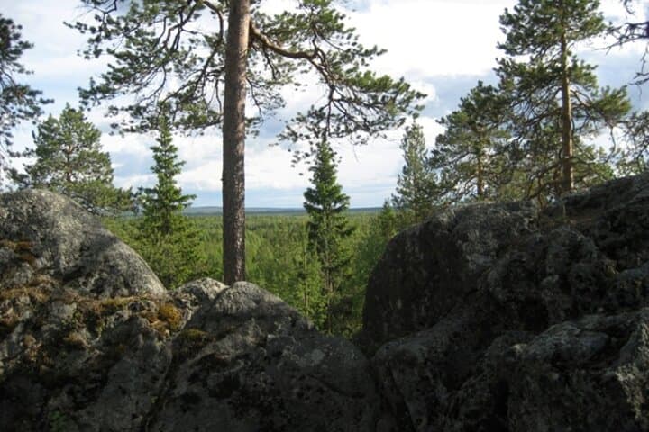 Rovaniemi Devils Churns Sculptures