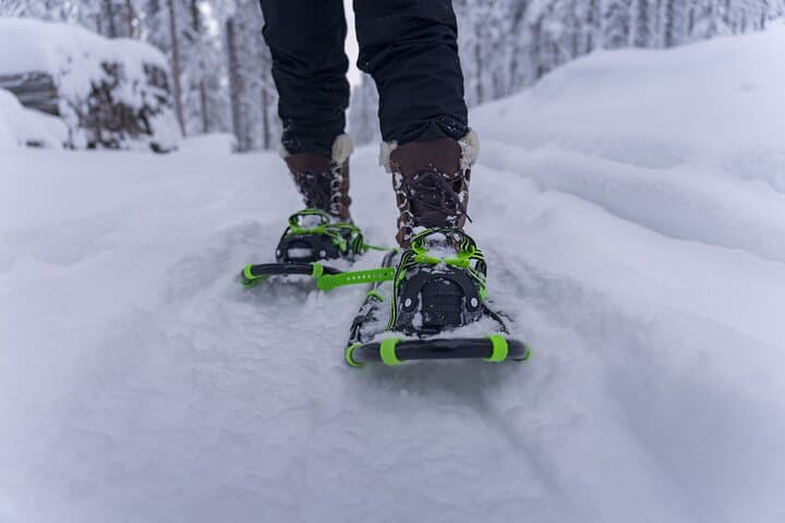 Lapland Winter Experience