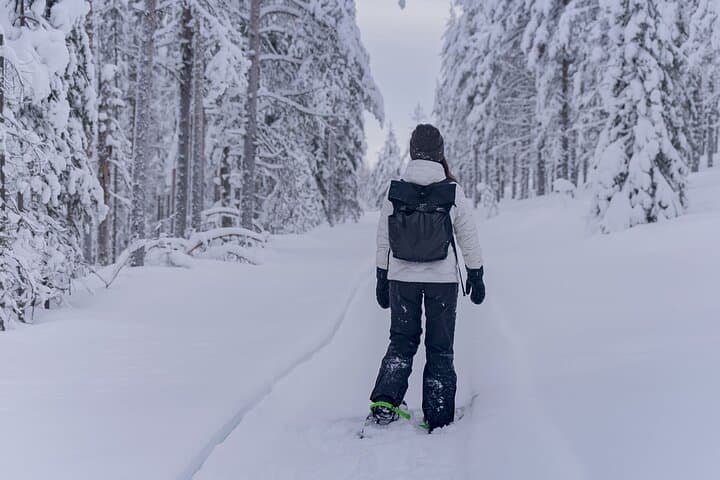 Lapland Winter Experience