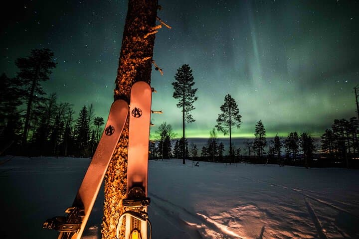 The forest skis are fantastic way to move in the snowy nature