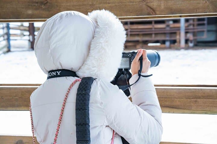 Many photography opportunities