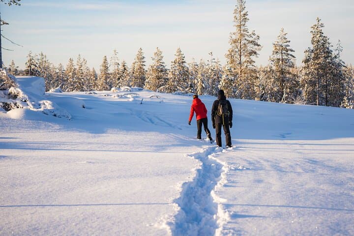 Wilderness snowshoe adventure