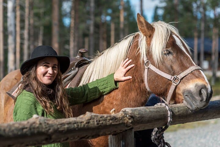 Finnhorse and rider