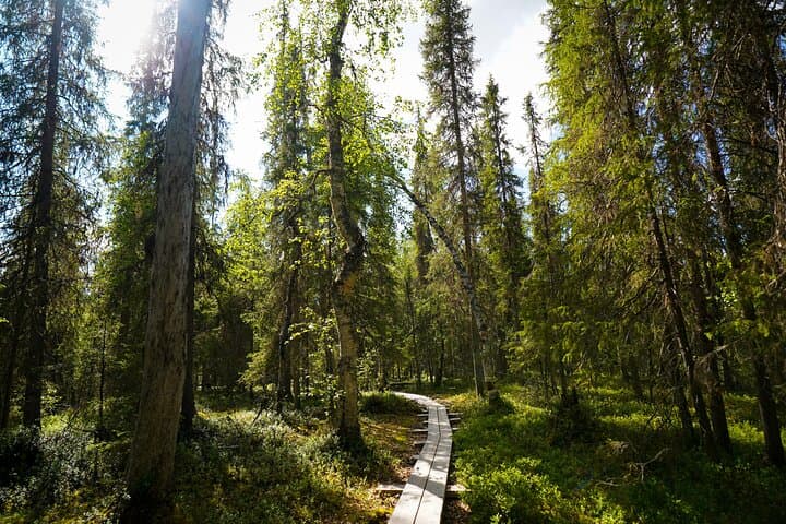 Stunning Auttiköngäs Nature Trail