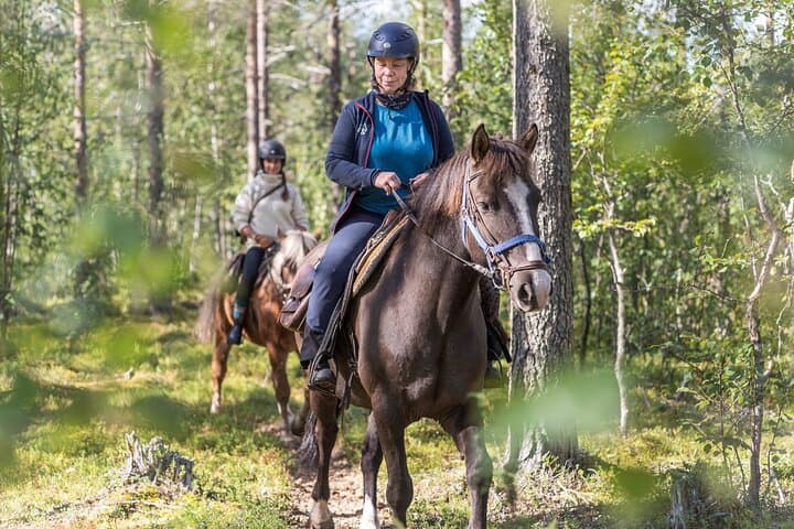 Horseback riding with Finnhorse on the forest
