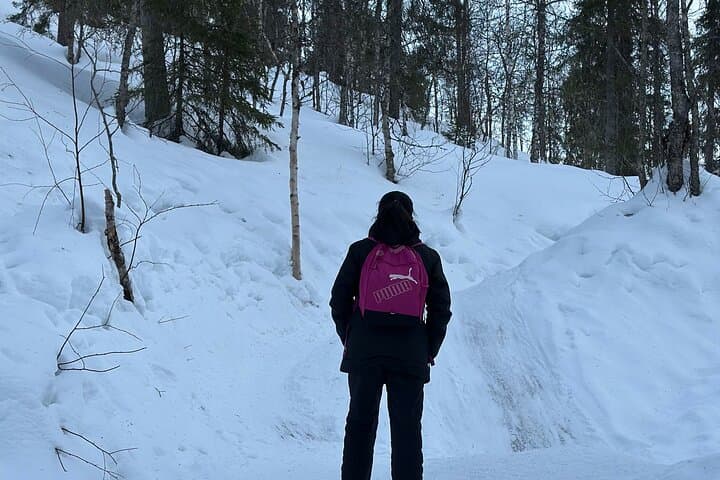Private Korouoma Canyon Tour, Hiking & Frozen Waterfalls