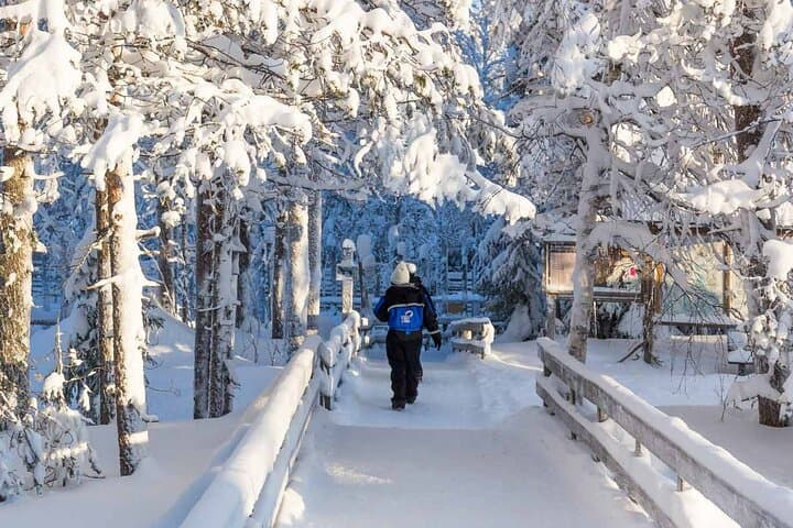Kemijärvi Insider: Guided Tour in Ranua Zoo