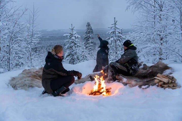 Snowmobile Sleigh Adventure in Authentic Lapland