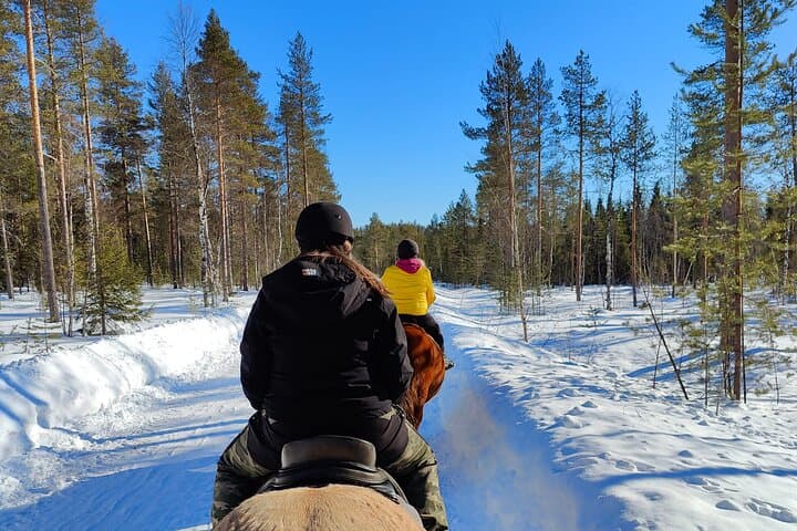 Horseback Ride in Finnish Forest from Rovaniemi