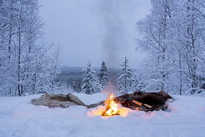 Snowmobile Sleigh Adventure in Authentic Lapland