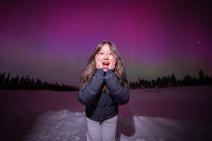 Rovaniemi: Northern lights - Small-Group, 100% Guaranteed Refund