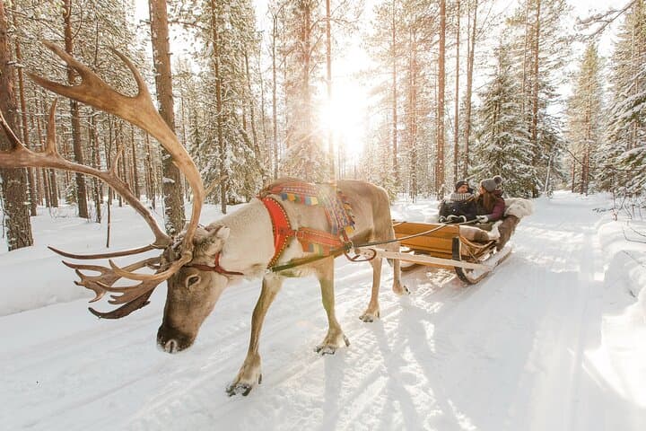Rovaniemi Santa Claus Village Husky and Reindeer Tour VIP VAN