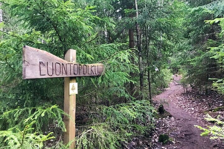 Nuuksio Forest Bathing Escape – From City to Serenity
