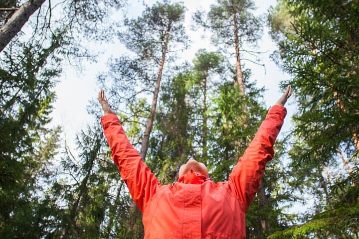 Nuuksio Forest Bathing Escape – From City to Serenity