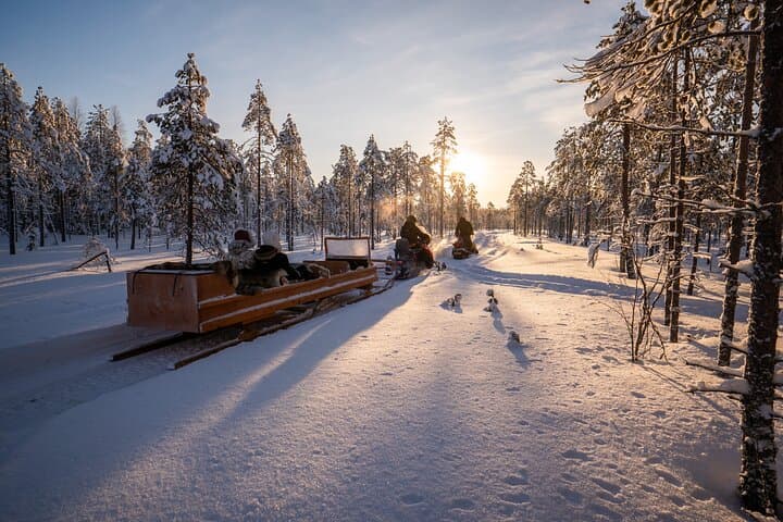 Children under 15 years old ride safely in a sled pulled by the guide.