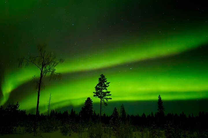 Northern Lights Hunting of Rovaniemi