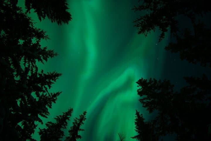 Private Northern Lights Hunt in the Wilderness - Group up to 8