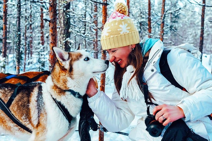 Rovaniemi: Husky Self-Drive (7km) Through Snowy Landscapes