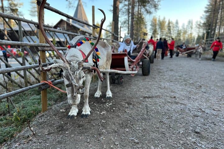Santa Claus Village with Reindeer & Husky Ride