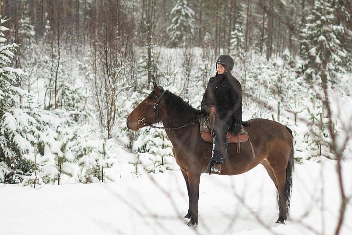Horse ride to the snowy hill