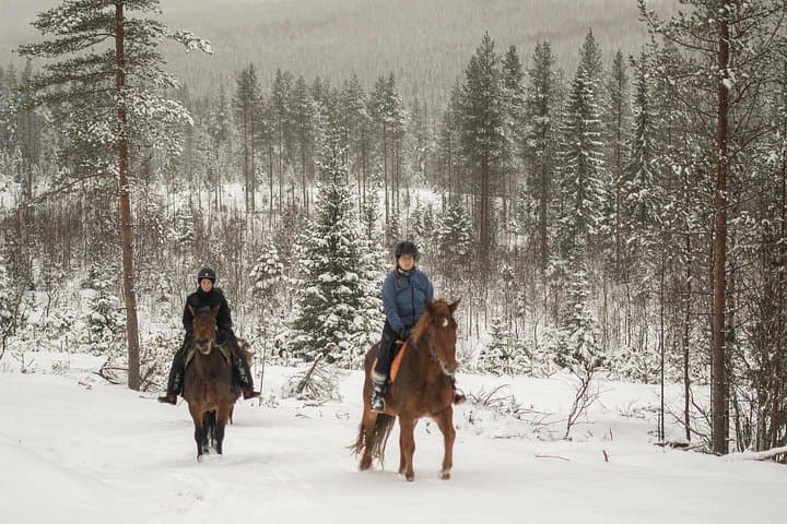 Horse ride to the snowy hill