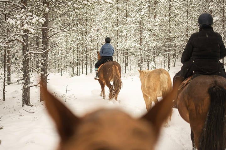 Horse ride to the snowy hill