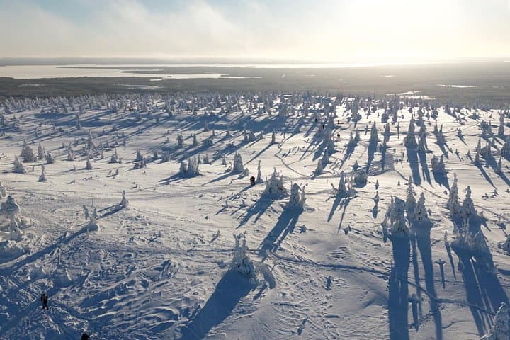 Levi Arctic Snowshoe Experience