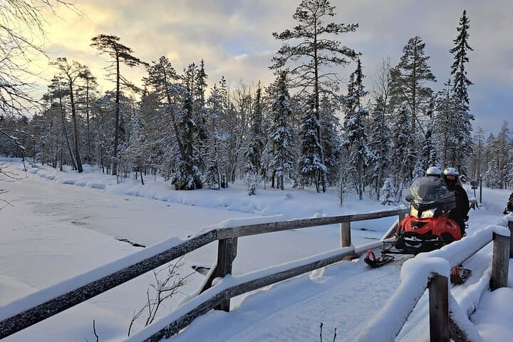 2-Hour Snowmobile Experience (Small Group of 8)