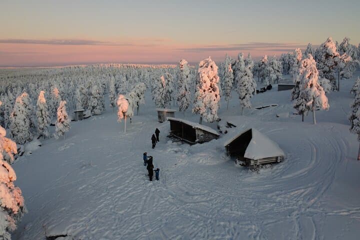 2-Hour Snowmobile Experience (Small Group of 8)