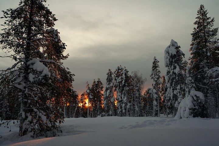 Night-Time Snowshoeing Under the Northern Sky (Small Group of 6)