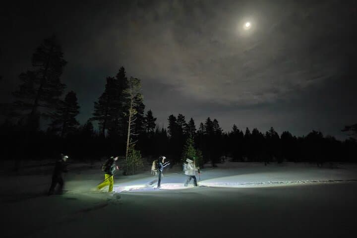 Night-Time Snowshoeing Under the Northern Sky (Small Group of 6)