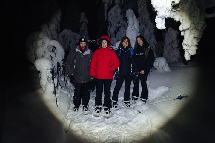 Night-Time Snowshoeing Under the Northern Sky (Small Group of 6)