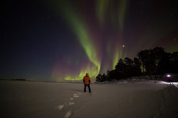 Rovaniemi: Aurora Explorer: 3-Hour Northern Lights Adventure Tour