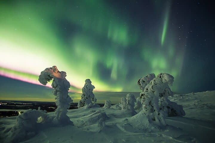 Rovaniemi: Aurora Explorer: 3-Hour Northern Lights Adventure Tour