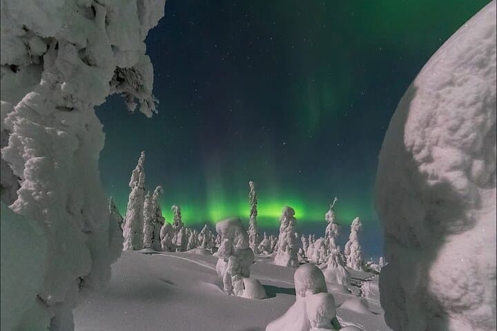 Rovaniemi: Aurora Explorer: 3-Hour Northern Lights Adventure Tour