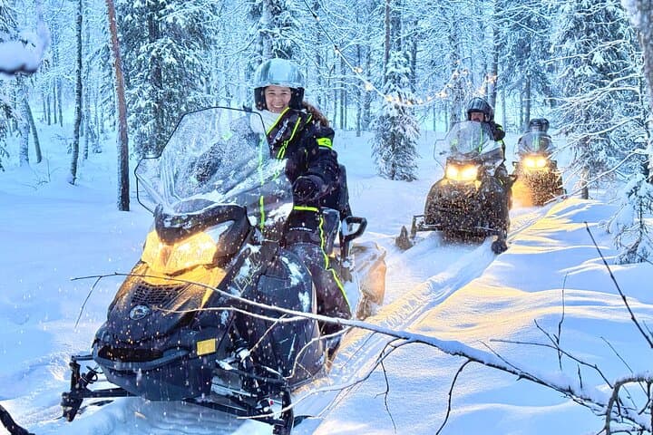 Small Group: Snowmobile Safari from Riverside Lodge 3h