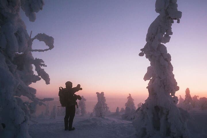 Riisitunturi Snow Monsters Winter Hike from Rovaniemi with Lunch