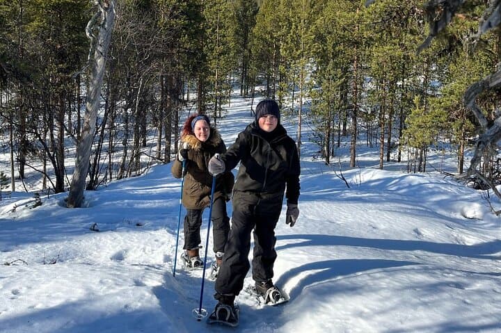 Snowshoe walkers in the woods.