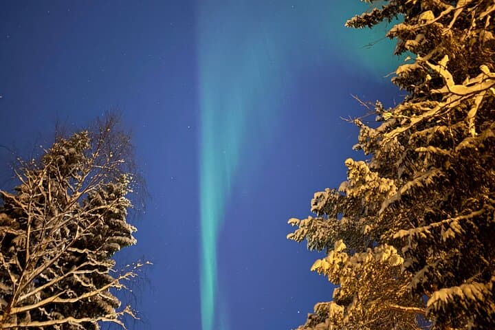 From Rovaniemi: Northern Lights Tour with Campfire Snacks