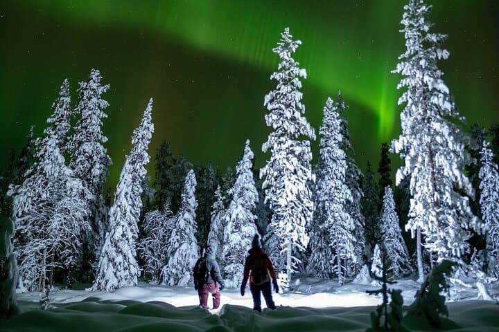 LEVI Night Star Walk on Snowshoes in the Wilderness(ALL INCLUDED)